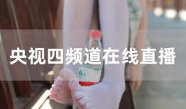 中央四套在线直播观看,实时捕捉全球精彩瞬间