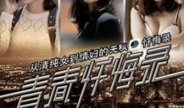 青春忏悔录电视剧全集在线观看,全集剧情回顾，揭开青春岁月的伤痕