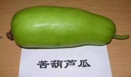 网红吃蒸葫芦瓜,美味与创意的完美融合